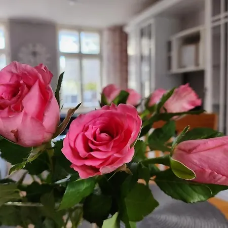 Apartment Im Konvent *