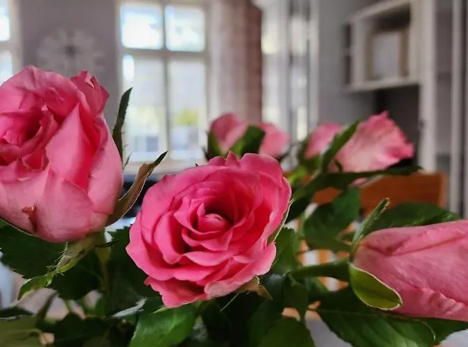 Apartment Im Konvent *